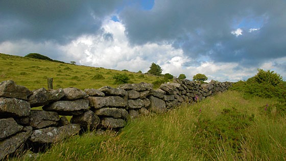 stone wall running through meadow in Dartmoor National Forest, England