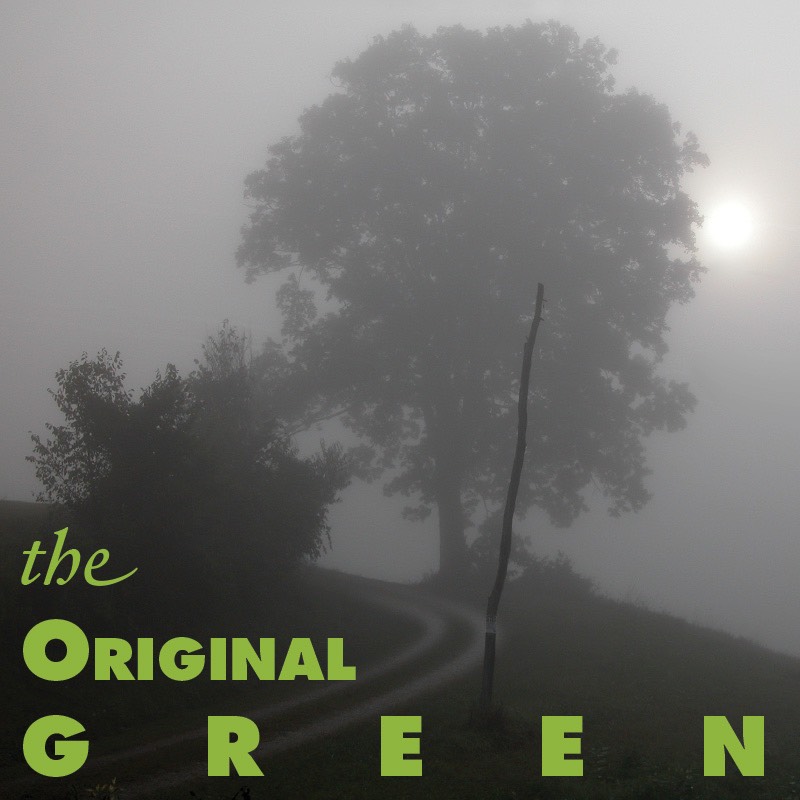 Original Green logo only 2017