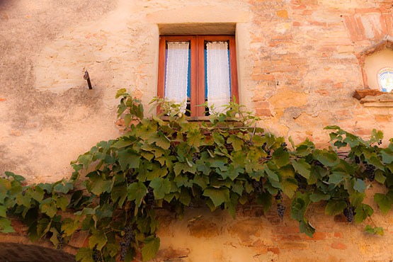Pienza-11OCT07-8983